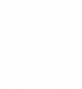 Fever-Tree Gin and Tonic Festival Brisbane 2022